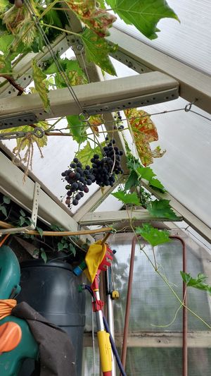 Photo 30- click for photo gallery